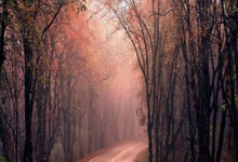 专访网球新星布云朝克特:今年目标世界前502025-02-18.