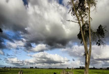 阿斯：居勒尔在比赛中对抗全部成功，需要连续性和信心.：黑白体育